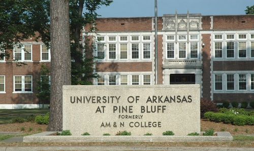 University of Arkansas Pine Bluff Best Nursing Degrees