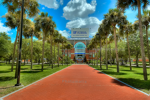 University of Florida Best Nursing Degrees