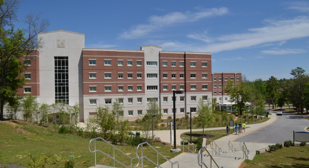 the-university-of-west-florida-doctor-of-nursing-practice