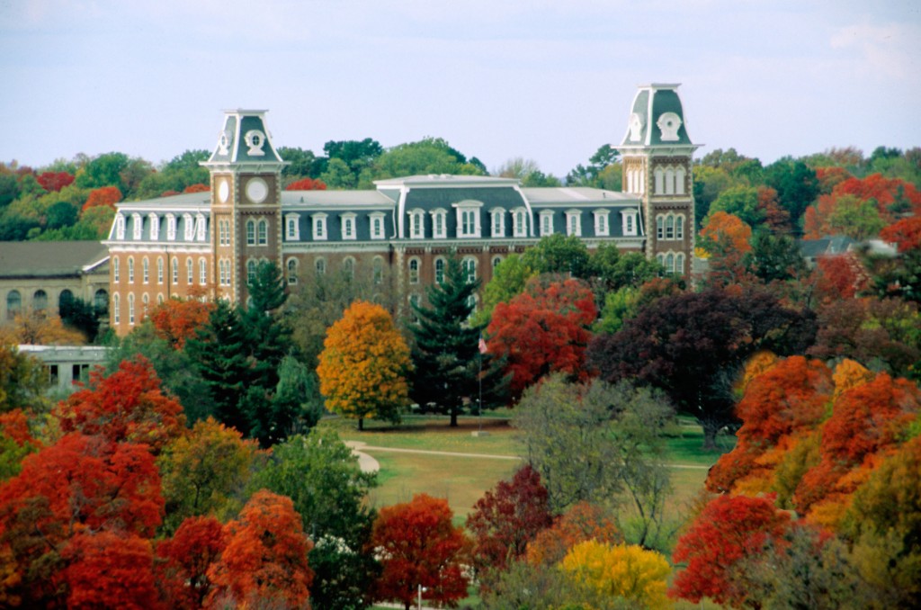 university-of-arkansas-doctor-of-nursing-practice