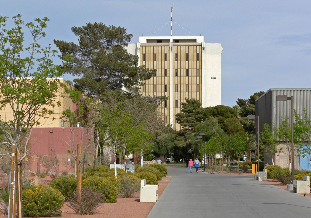 university-of-nevada-las-vegas-doctor-of-nursing-practice