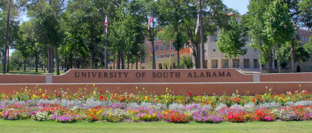 university-of-south-alabama-doctor-of-nursing-practice